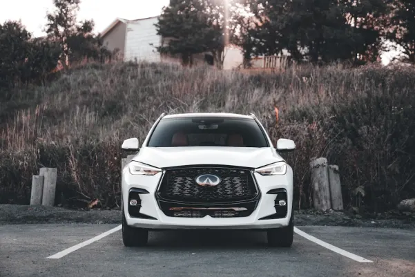 Casino Royal Panda App Android/iOS